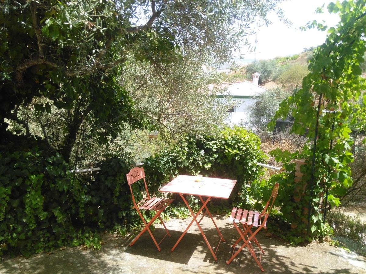 Casa La Liebrecilla Guest House Riogordo Exterior photo